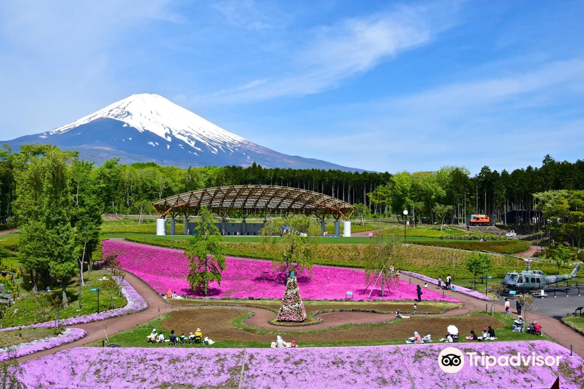 🏞️ 후지산 주쿠노모리(나무하늘숲) 이미지 9
